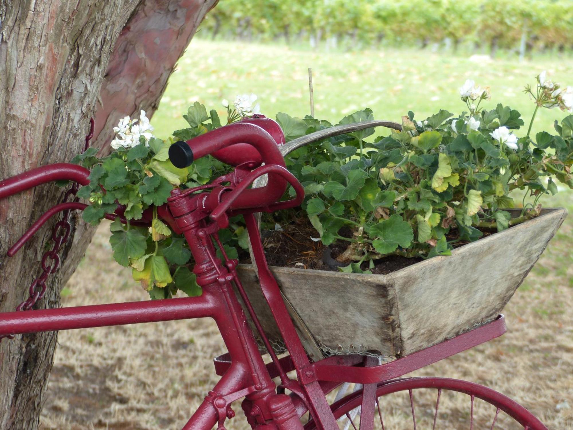 Bed and Breakfast L'Alambic De L'Estuaire Saint-Fort-sur-Gironde Exterior foto