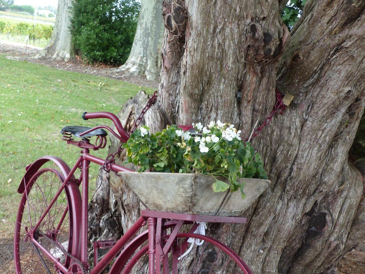 Bed and Breakfast L'Alambic De L'Estuaire Saint-Fort-sur-Gironde Exterior foto